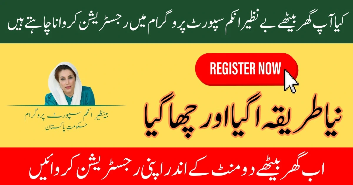 Do Your Online Registration in BISP Quickly at Home